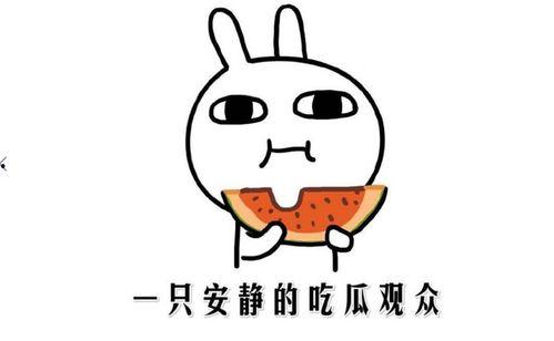 吃瓜意思,揭秘“吃瓜群众”背后的娱乐真相