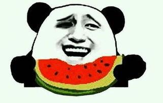 吃瓜群众视频来源是什么,探寻网络热点背后的真相