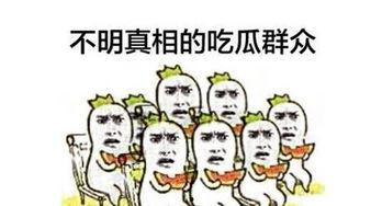 吃瓜群众还可以怎么说,网络时代的围观者众生相