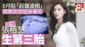 娱乐吃瓜酱母胎solo,母胎solo的独舞人生